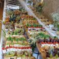 Fingerfood-Kreation klassisch ab 10 Personen